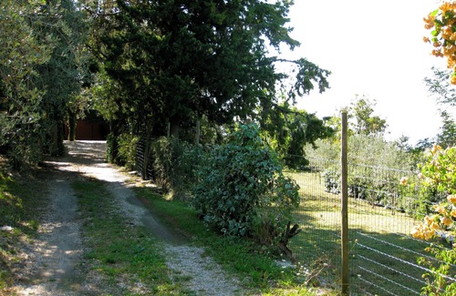 Chiavari Villa | Delightful 4-bedroom villa in private olive grove with WiFi in Chiavari