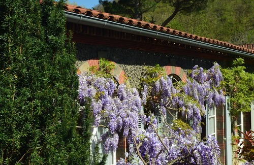 Mazamet Cottage | Delightful Gite in SW France - Private Garden, Close to Town & beautiful walks