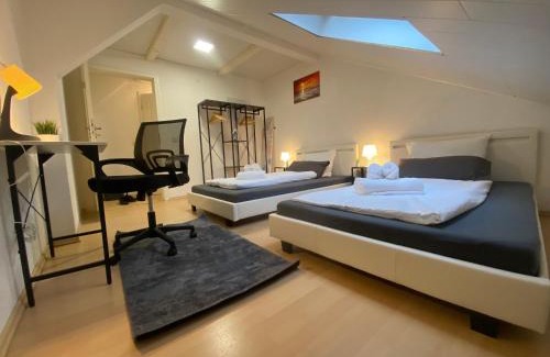Bad Friedrichshall Apartment | Deluxe Business Suite mit 2 Schlafzimmer & Parkplatz, Highspeed WLAN, Netflix Premium, zentral zu Audi & Schwarz Gruppe