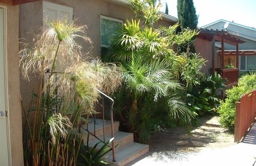 Normal Heights House | Deluxe House Large 4 BR 2 BA House Normal Heights Heart of San Diego
