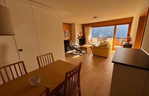 Leysin Apartment | Dents du Midi A11