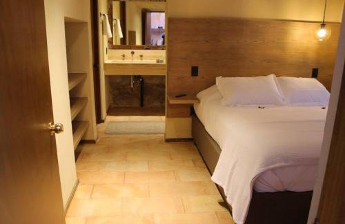 Leon Centro Apartment | Depa lujoso en 1er piso centro de León