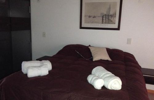San Antonio Department Apartment | Departamento Ramayon