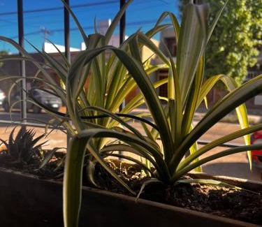 Chivilcoy Apartment | Depto Boutique Chivilcoy