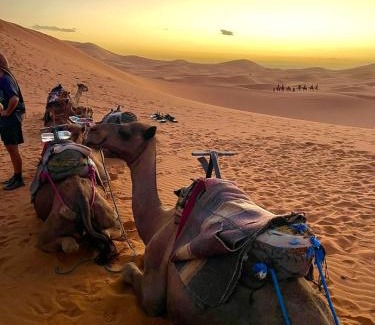 Taouz Other | Desert Nights Camp
