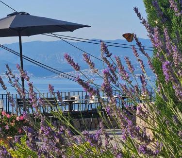 Vrbnik Hotel | DESIGN hotel VERBENICUM