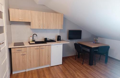 Przemysl Apartment | DG Apartamenty i Turystyka