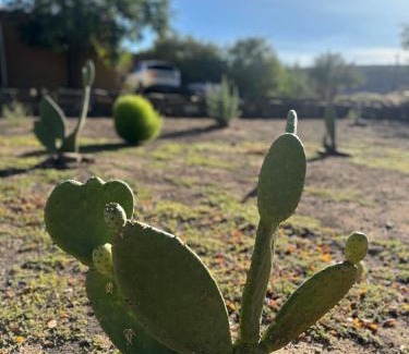 Sutherland House | Die Tabakhuis - Karoo (Sutherland)