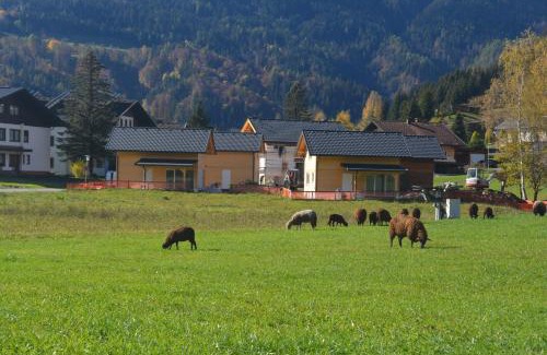 Kotschach-Mauthen House | Dijkstra`s Cottage 679