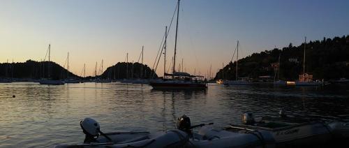 Lakka Apartment | Dimitri's Seaview Studio - Lakka Paxos