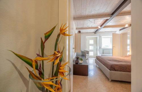 Gargagnago di Valpolicella Apartment | Dimora Valpolicella tra Ulivi e Vigneti