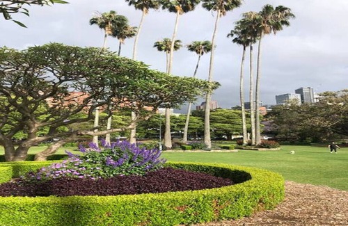 North Sydney Apartment | Dine, shop & explore the city!