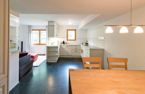 Celerina-Schlarigna Apartment | Director s Residence