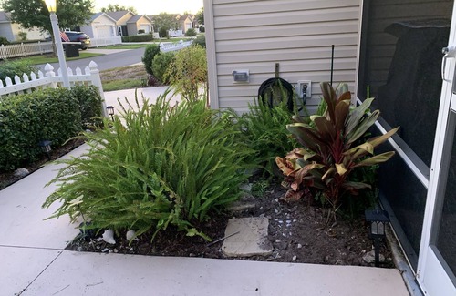 Belvedere Villa | Discover Your 2 Bedroom 2 Bath Vacation Villa With Electric Golf Cart And Wi-Fi