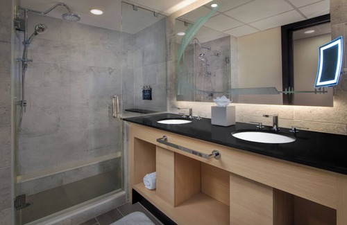 Bay Lake Hotel | Disney's Contemporary Resort