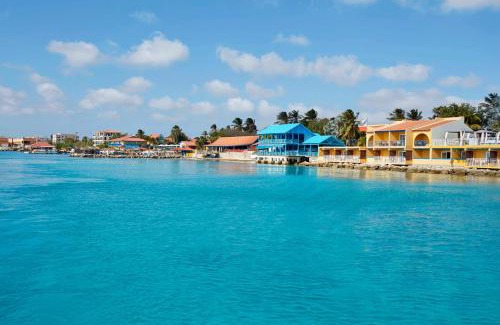 Playa Resort | Divi Flamingo Beach Resort