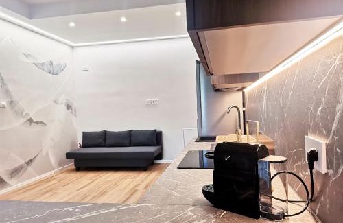 Municipio 2 Apartment | Dodolà