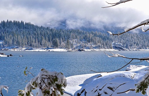 Sierra Cedars Cabin | Dog-friendly cabin w/ a spacious, enclosed deck, & free WiFi