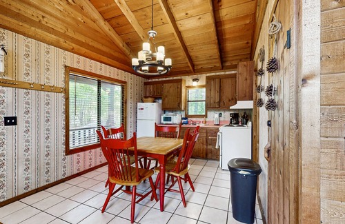 Blue Ridge Cabin | Dog-friendly cabin with private grill, full kitchen, and foosball
