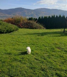 Gorki Mae Apartment | Dog friendly Dom, apartamenty Wichrowe Wzgórza z basenem Brenna