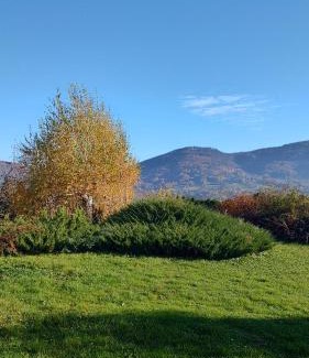 Gorki Mae Apartment | Dog friendly Dom, apartamenty Wichrowe Wzgórza z basenem Brenna