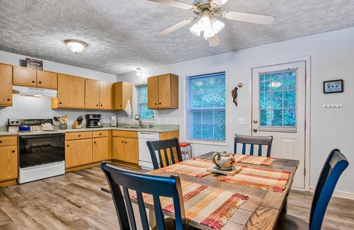 Waynesville House | Dog-friendly mountain home with central AC, pool access, mountain view, and W/D