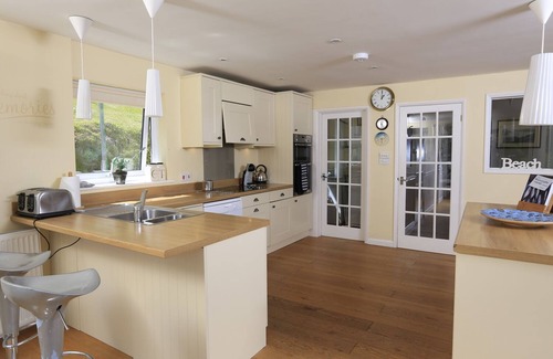 Salcombe Cottage | Dolphins