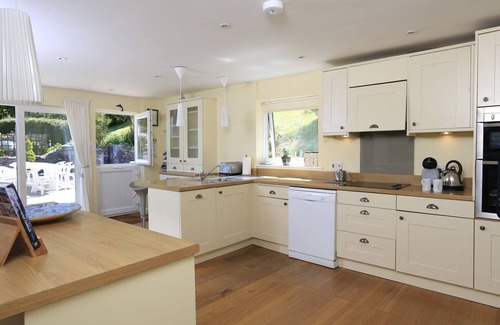 Salcombe Cottage | Dolphins