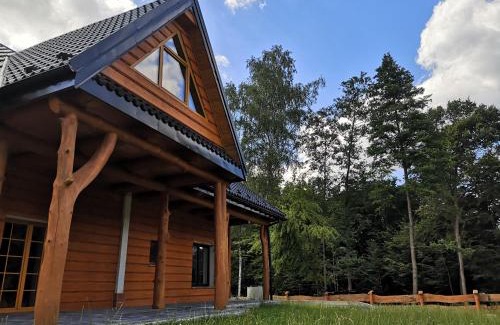 Skrzyszow House | Dom Na Korzeniu