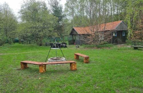 Warlubie House | Dom Pod Brzozami Lipinki Bory Tucholskie basen - psy, koty mile widziane!
