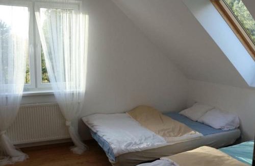 Lukta House | Dom w lesie