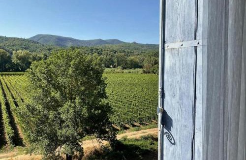 Lamalou-les-Bains House | Domain With Swimming Pool And Reception Room