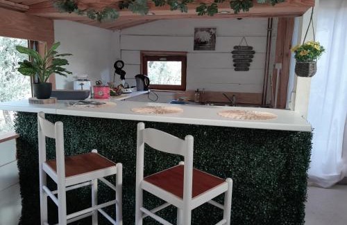 Lorgues House | Domaine d'Avalon