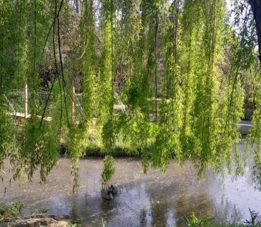Lorgues House | Domaine d'Avalon
