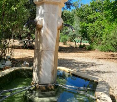 Lorgues House | Domaine d'Avalon