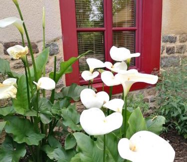 Miniac-sous-Becherel Bed & Breakfast | Domaine de Corbelande