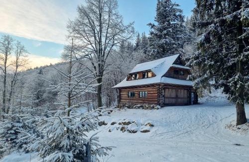 Nowa Ruda Bed & Breakfast | Domek Górski przy Bukowej Chacie