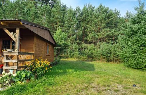 Lipusz House | Domek holenderski - drewniany w centrum Kaszub
