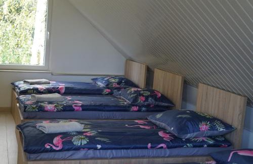 Grodzisk Mazowiecki Cabin | Domek K2 - Niezależny 5 osobowy - NoclegiGrodziskPL 792-535-535