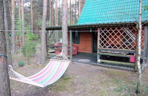 Losice House | Domek Leśny Klimat