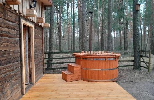 Losice House | Domek Leśny Klimat