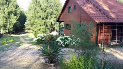 Pszczew House | Domek letniskowy Pod brzozami Pszczew