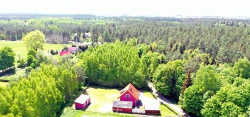 Wydminy House | Domek letniskowy w lesie 6 -7 osób