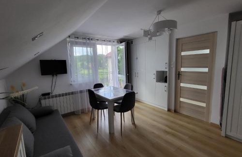 Jankowce Apartment | Domek pod Hyrką Bieszczady-Lesko