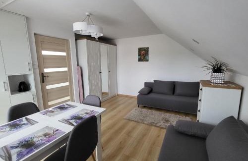 Jankowce Apartment | Domek pod Hyrką Bieszczady-Lesko
