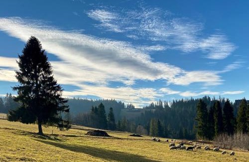 Brzegi Ski Chalet | Domek Tatry - Stacja Wierchowa 972 m