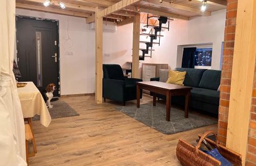 Miedzybrodzie Zywieckie House | Domek w lesie