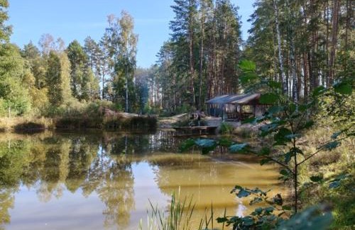 Bilgoraj House | Domek w lesie