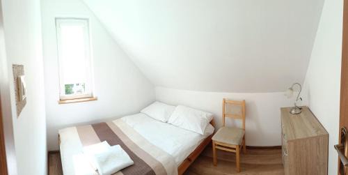 Przywidz House | Domek w lesie
