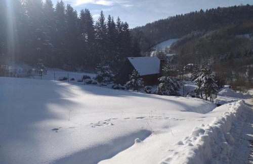Laskowa Ski Chalet | Domek za lasem